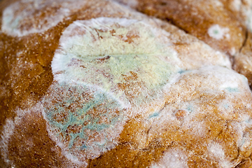 Image showing toxic black rye bread