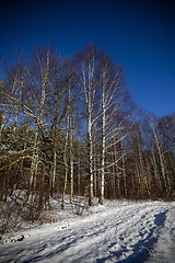 Image showing snow-covered road