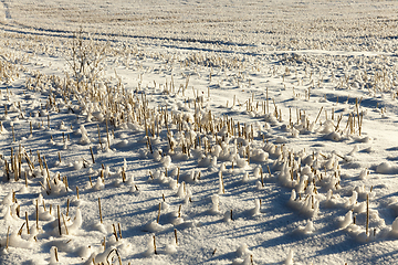 Image showing Snow drifts in winter