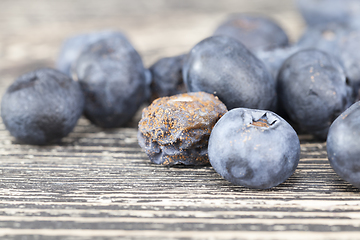 Image showing mold and fungus blueberries