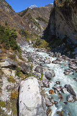 Image showing Rocky River or stream in the Himalayas