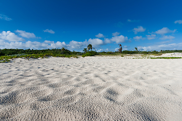 Image showing Caribbean Beach