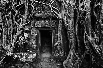 Image showing Ancient stone door and tree roots, Angkor temple