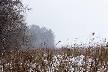 Image showing Snow drifts in winter