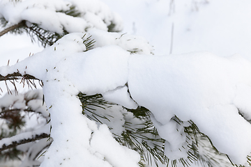 Image showing Snow drifts in winter