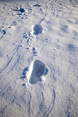 Image showing deep snow drifts