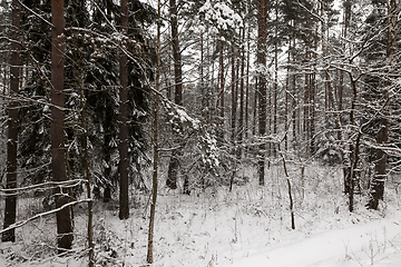 Image showing Snow drifts in winter