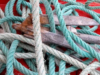 Image showing ropes