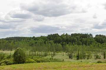 Image showing cloudy weather