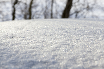 Image showing After snowfall