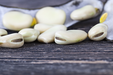 Image showing black dry pods of bean