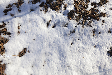 Image showing land covered with snow close up