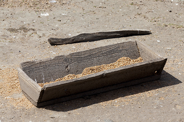 Image showing old wooden trough with grain