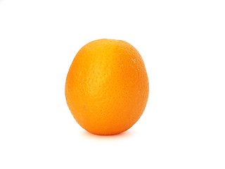 Image showing Orange