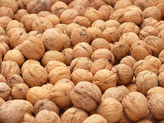 Image showing Walnuts