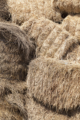 Image showing square stacks of straw