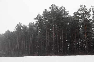 Image showing Snow drifts in winter