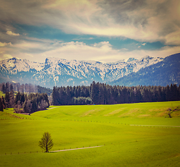 Image showing German idyllic pastoral countryside in spring with Alps in backg