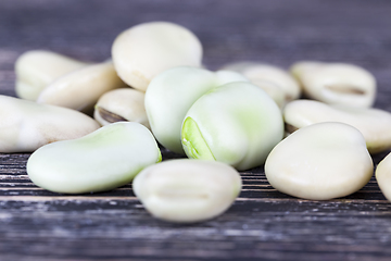 Image showing matured bean seeds