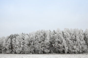 Image showing Winter time ,