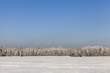 Image showing winter season.