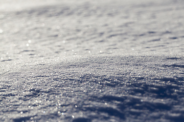 Image showing ound under snow