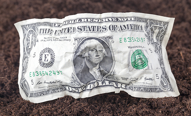 Image showing one crumpled American dollar