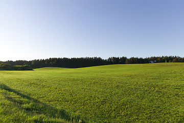 Image showing summer landscape