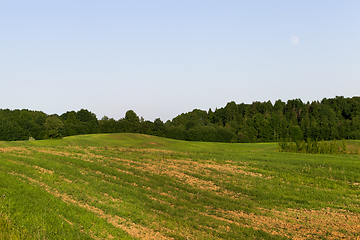 Image showing summer landscape