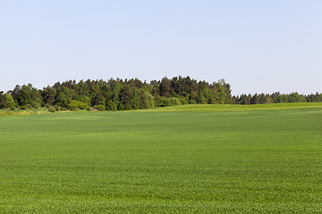 Image showing landscape in summer