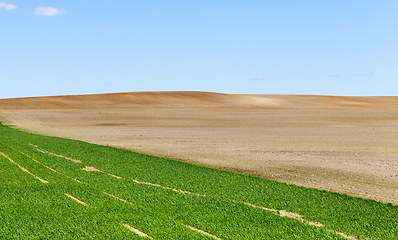 Image showing plowed field