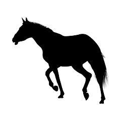 Image showing Horse Silhouette