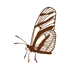 Image showing Sketch of Butterfly