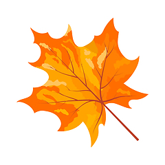 Image showing Autumn Maple Leaf