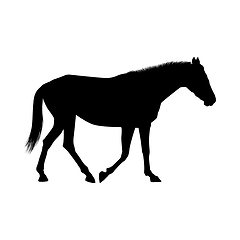 Image showing Horse Silhouette