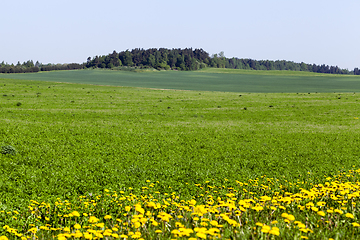 Image showing landscape in summer