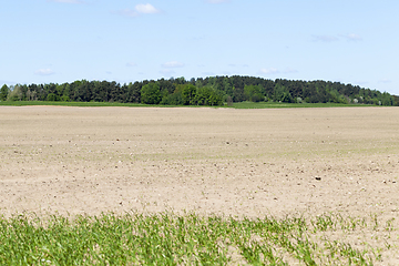 Image showing plowed field