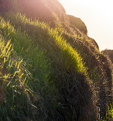 Image showing Straw stacks