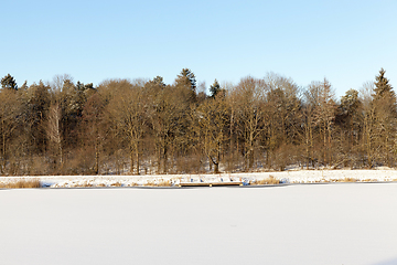 Image showing Winter forest, lake