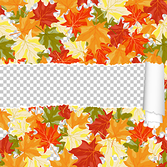 Image showing Autumn maple seamless pattern with ripped stripe