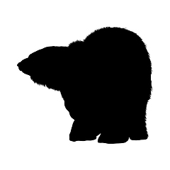 Image showing Polar Bear Silhouette