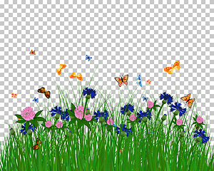 Image showing Meadow color