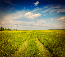 Image showing Spring summer - rural road in green field scenery lanscape