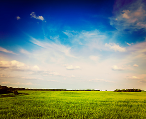 Image showing Spring summer green field scenery lanscape