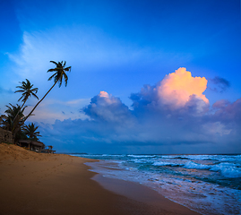 Image showing Sunset on tropical beach