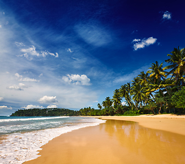 Image showing Idyllic beach. Sri Lanka