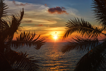 Image showing Ocean sunset visible through palm leaves