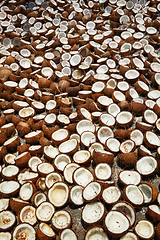 Image showing Drying coconuts, Kerala, South India