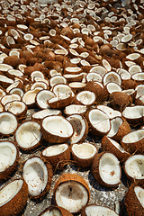 Image showing Drying coconuts, Kerala, South India
