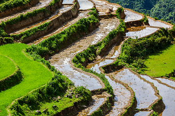 Image showing Rice field terraces. Near Sapa, Mui Ne